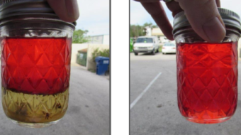 before-after