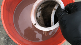 Sand, Water & Microbial Growth